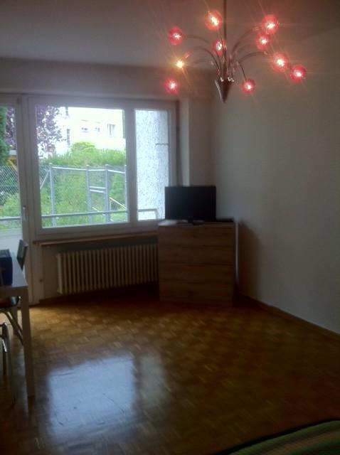 Rent A Home Tannwaldstrasse Olten Buitenkant foto